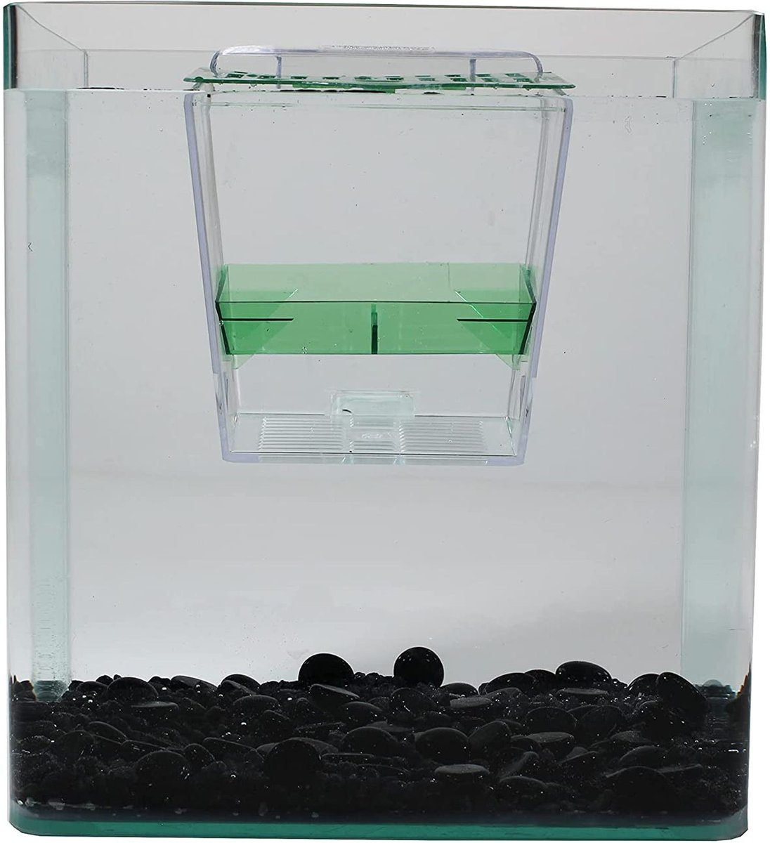 Penn-Plax Breed ‘n’ Show Plastic Tank