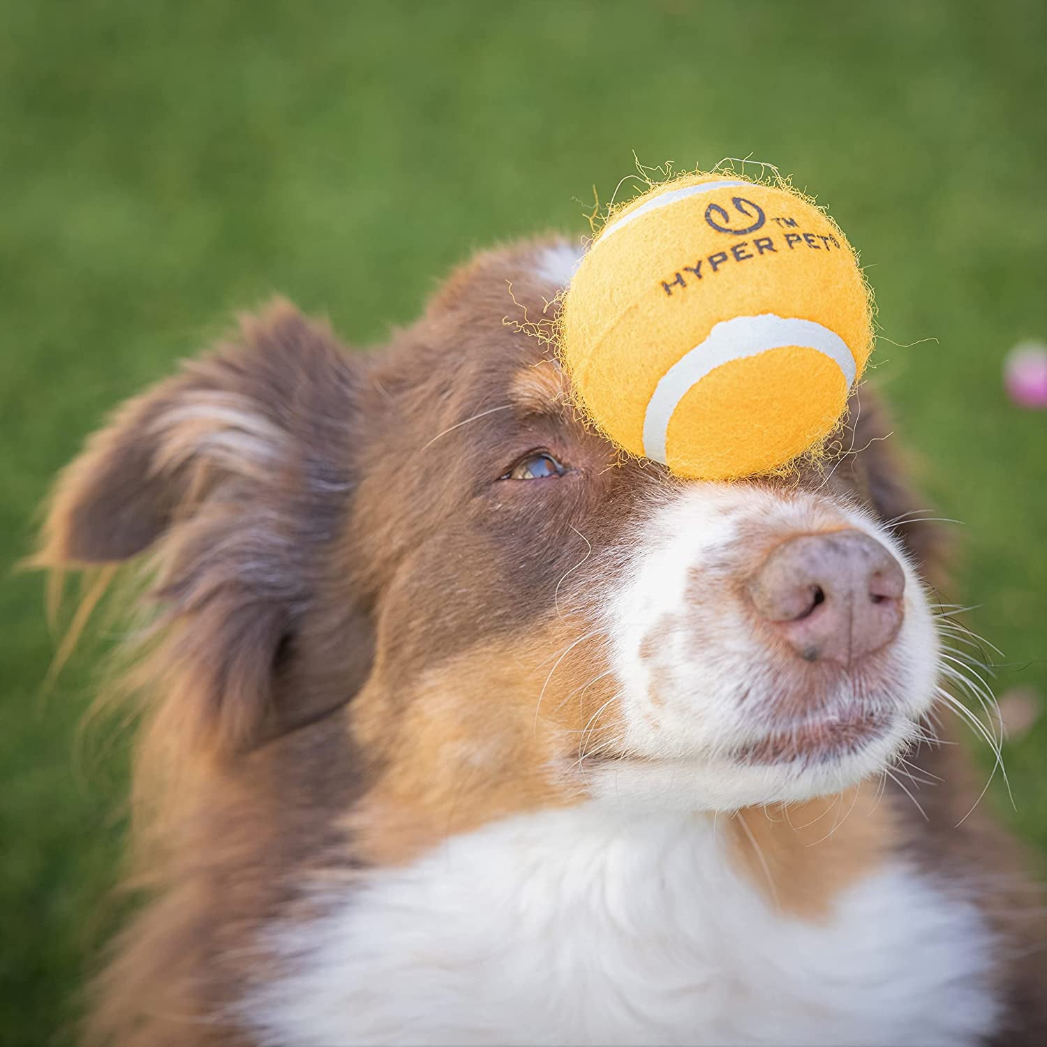 Hyper Pet Tennis Balls， Dog Fetch Toys， Grade A Rubber Ball， Orange， 4 Count