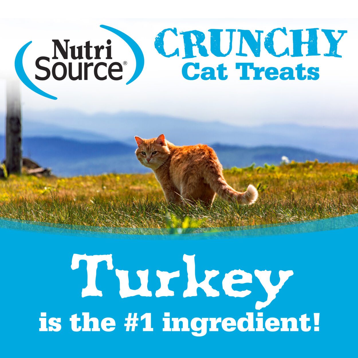 Nutrisource Crunchy Turkey  Chicken Cat Treats