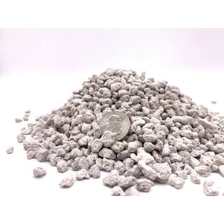 The Bonsai Supply 20 qt. 14 in. Horticultural Pumice Size Particle Pumice 20 Qt