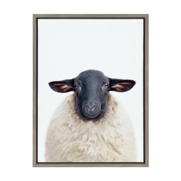 X 24 quot Sylvie Dorper Sheep Framed Canvas By Amy Peterson Art Studio Gray Kate amp Laurel All Things Decor