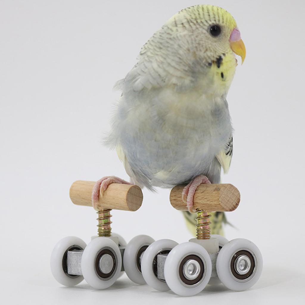 Small Parrots Trick Roller Skates Adjustable Pet Birds Playground Small