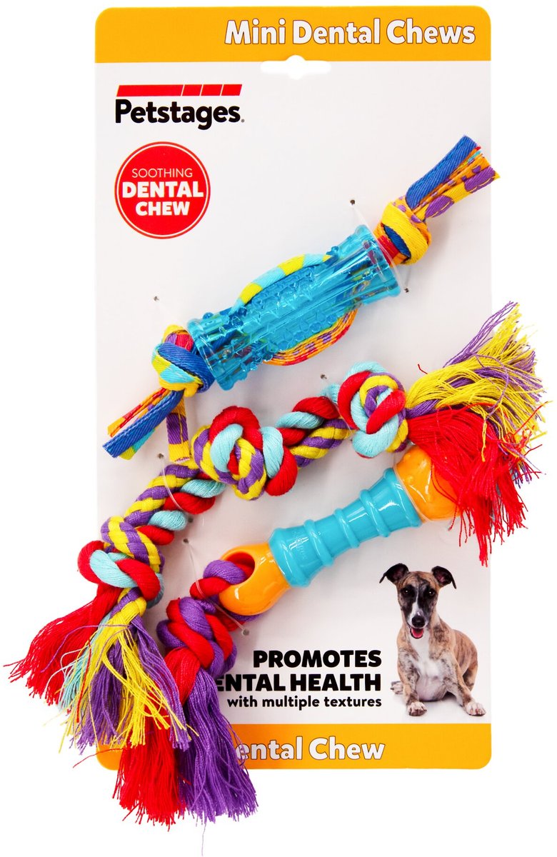 Outward Hound Dental Chew Pack Dog Toy