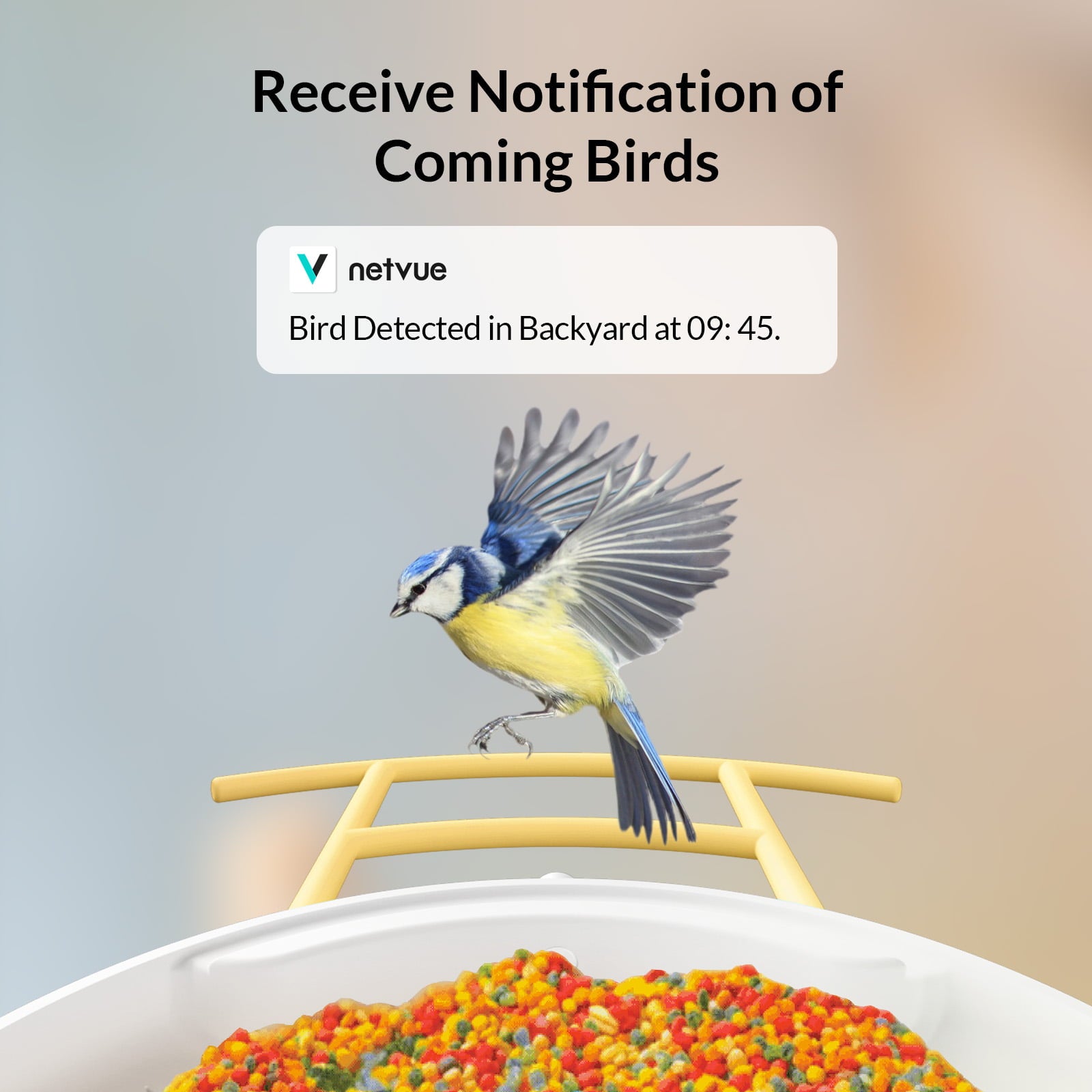 Bird Feeder Camera Outdoor Netvue Birdfy Smart Bird Feeder for Bird Watching， Capture Images/Videos with APP Notification， Bird Gifts for Parents， Hopper Feeder， Yellow(Birdfy Lite + Solar Panel)