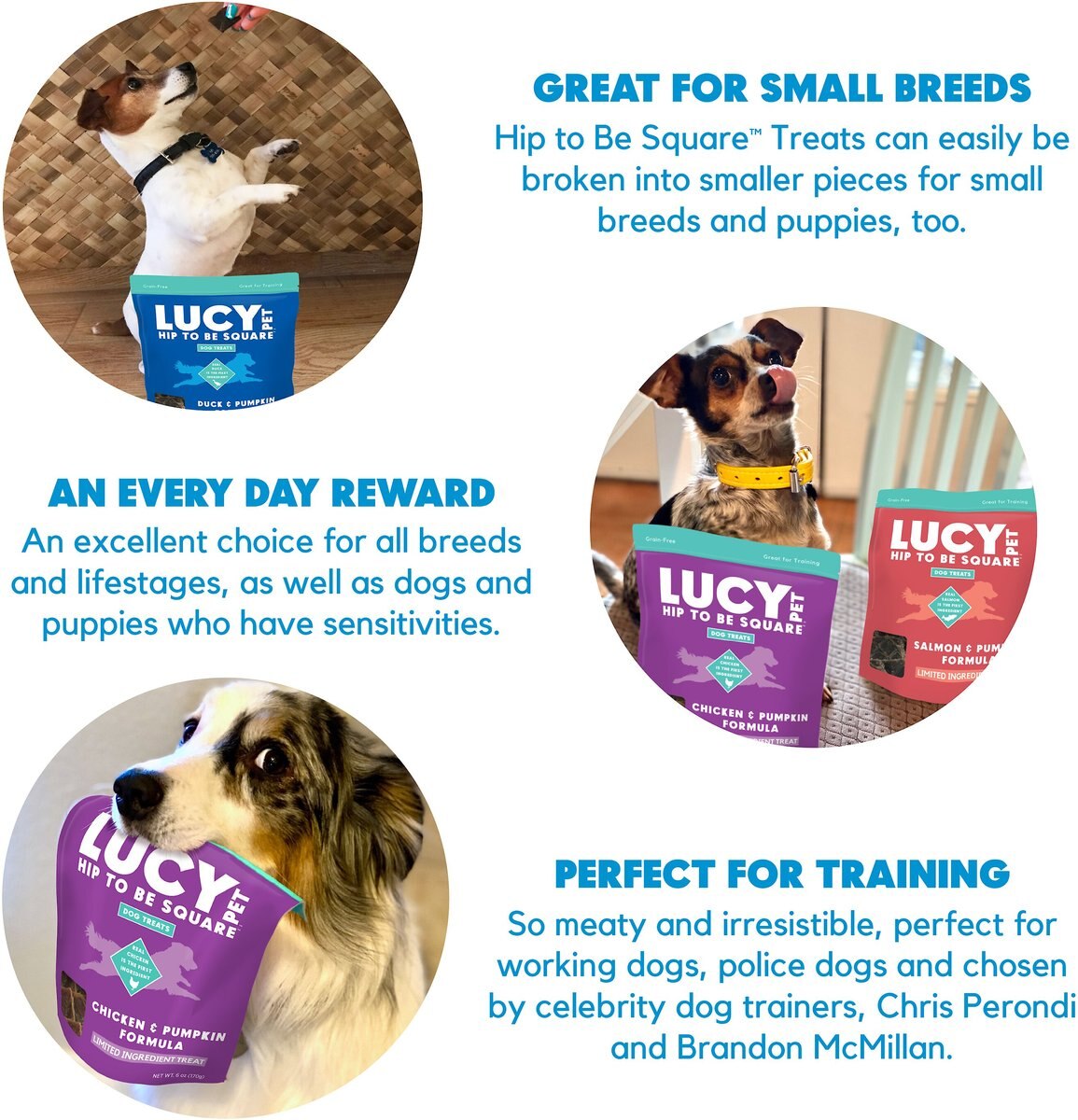 Lucy Pet Products Hip To Be Square Chicken and Pumpkin Formula Grain-Free Dog Treats