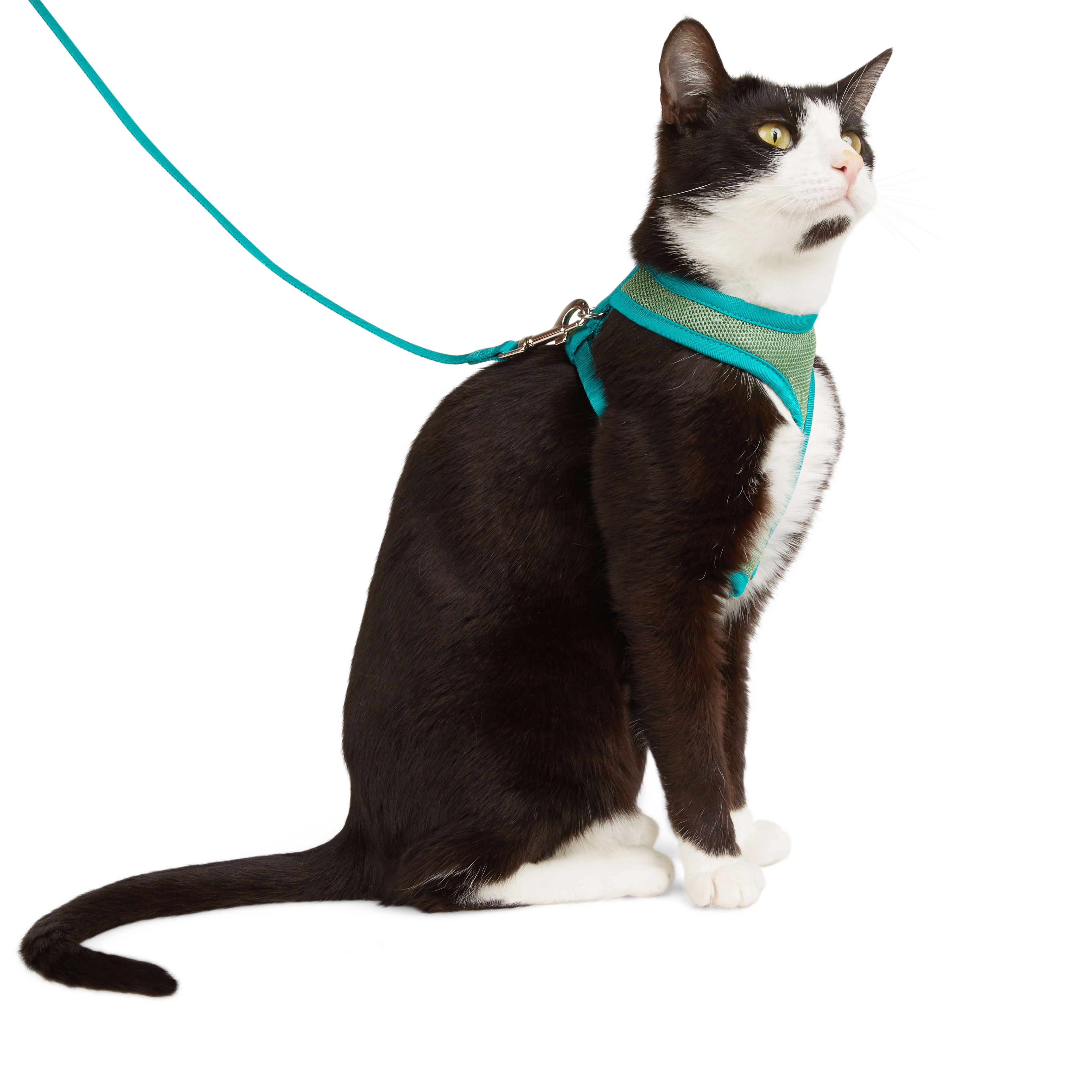 YOULY Green Cat Harness  Lead