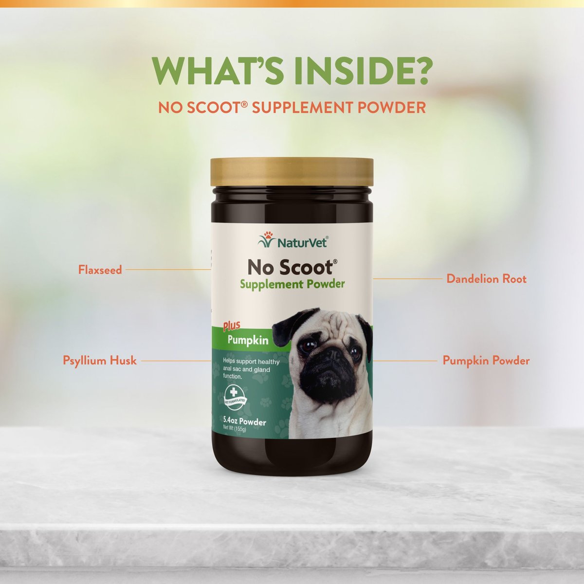 NaturVet No Scoot Plus Pumpkin Powder Digestive Supplement for Dogs