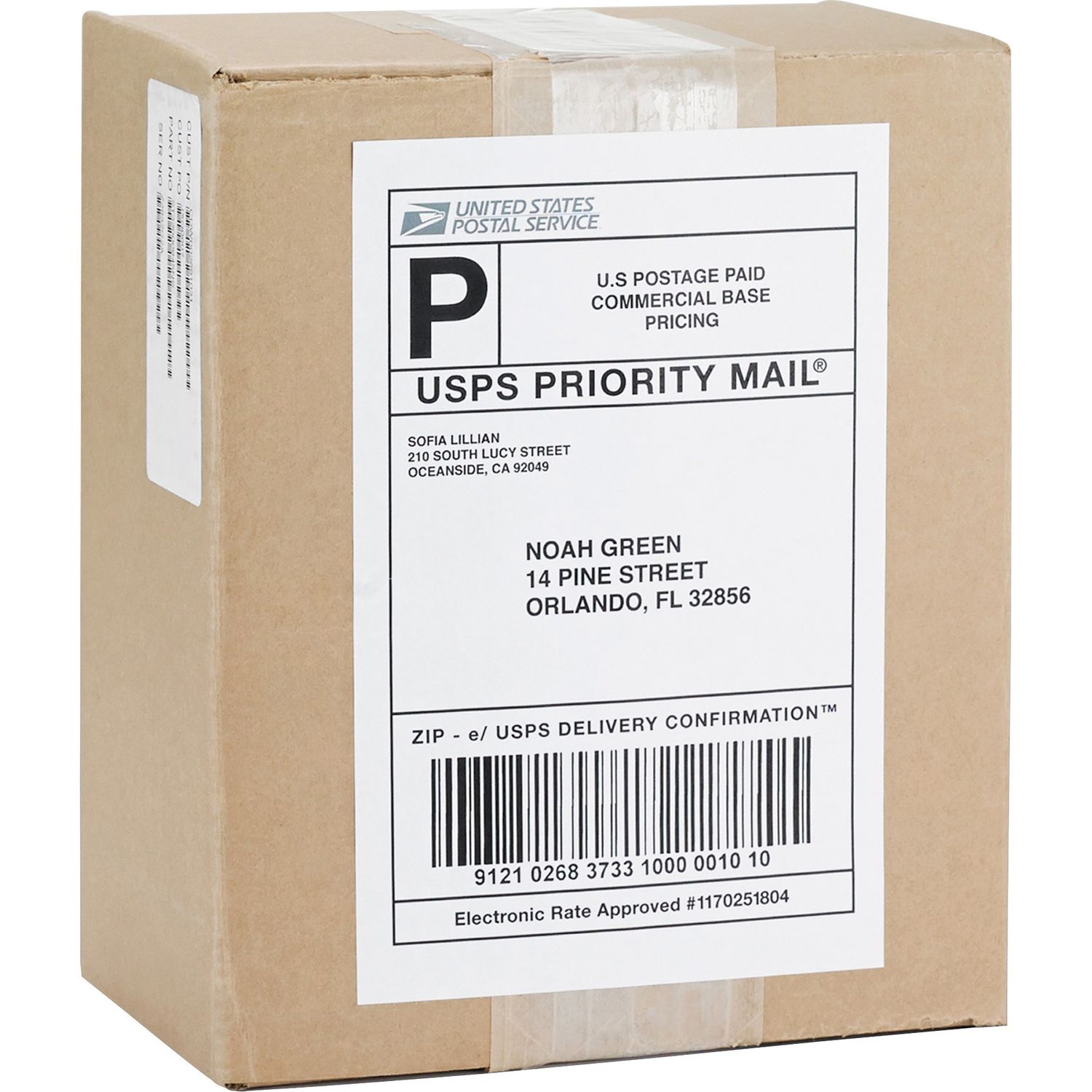 Bright White Premium-quality Internet Shipping Labels by Business Source BSN26161