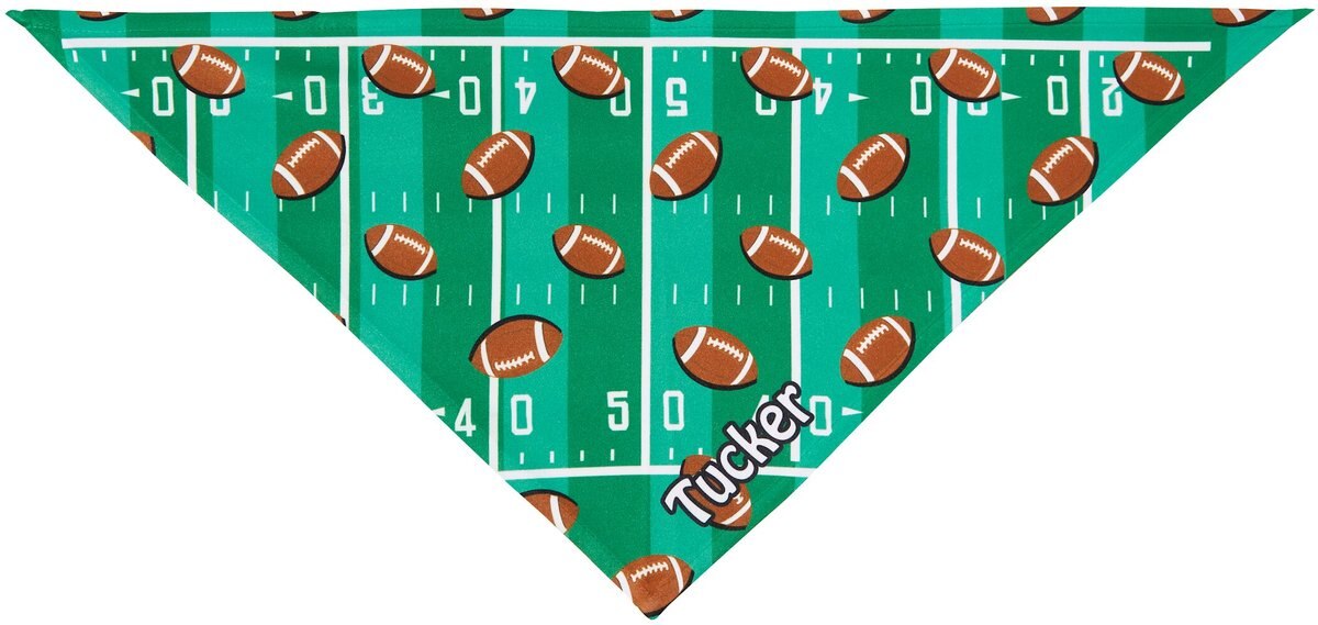 Frisco Football Personalized Dog and Cat Bandana