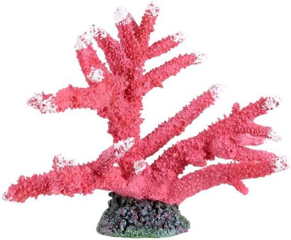 Underwater Treasures Branch Coral Fire Fish Ornament