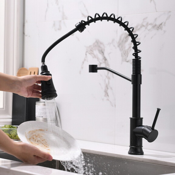 Kitchen Faucet with Pull Out Sprayer Black Stainle...