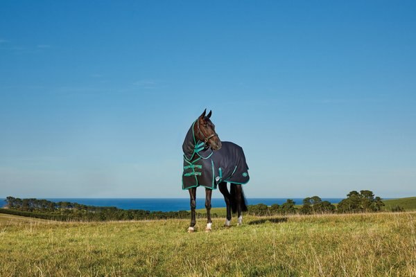 WeatherBeeta Green-Tec 900D Detach-A-Neck Heavy Horse Blanket