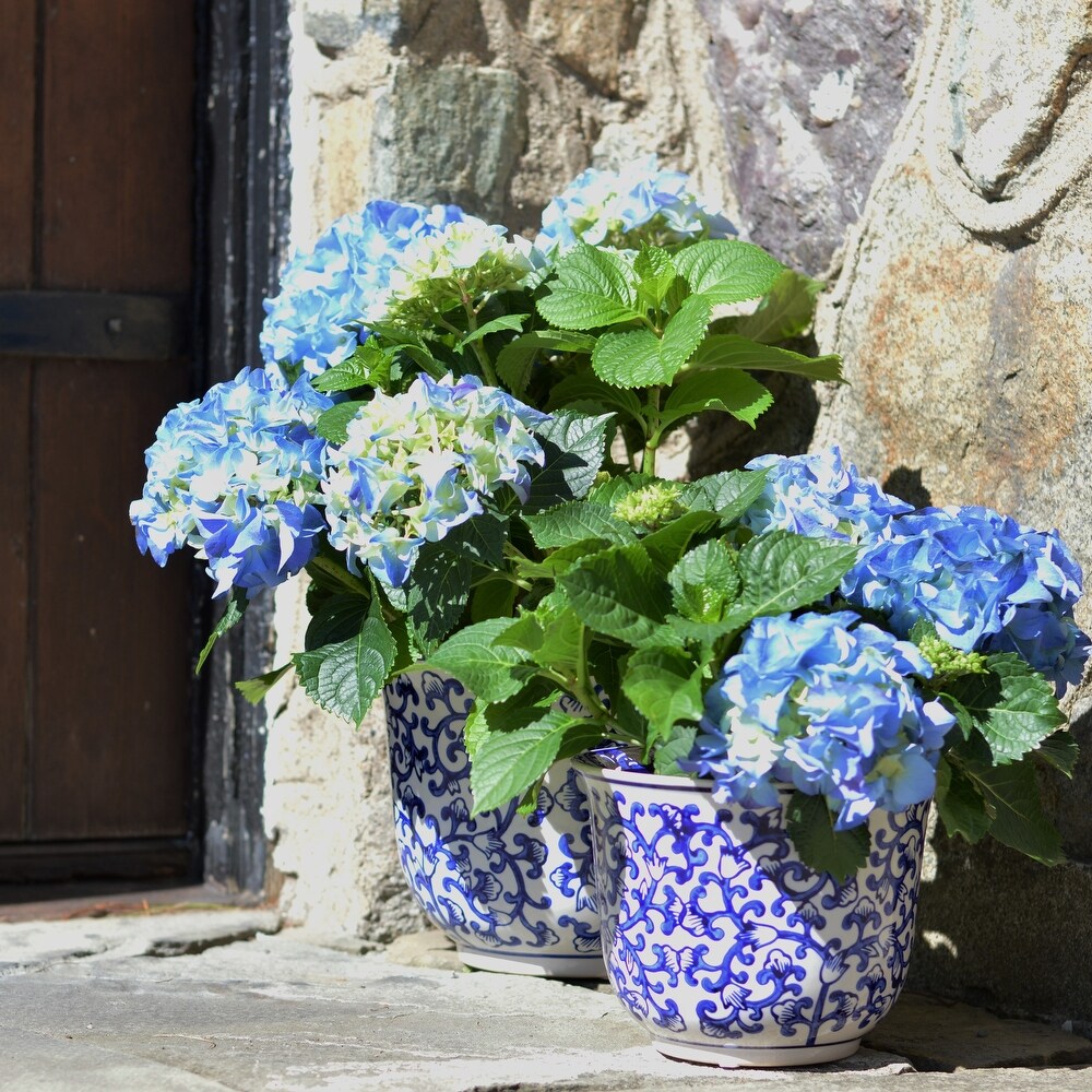 ClayBarn Blue and White Ceramic Florentine Garden Planter (3 Piece Set)