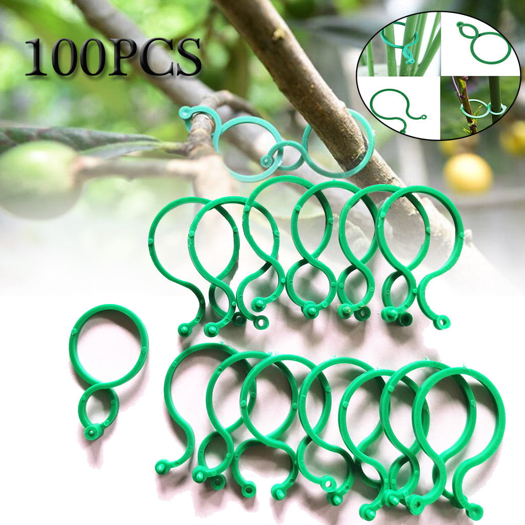 TOYFUNNY 100Pcs Botany-Stem Vine Strapping Clips Garden Plant Bundled Buckle Ring Tool