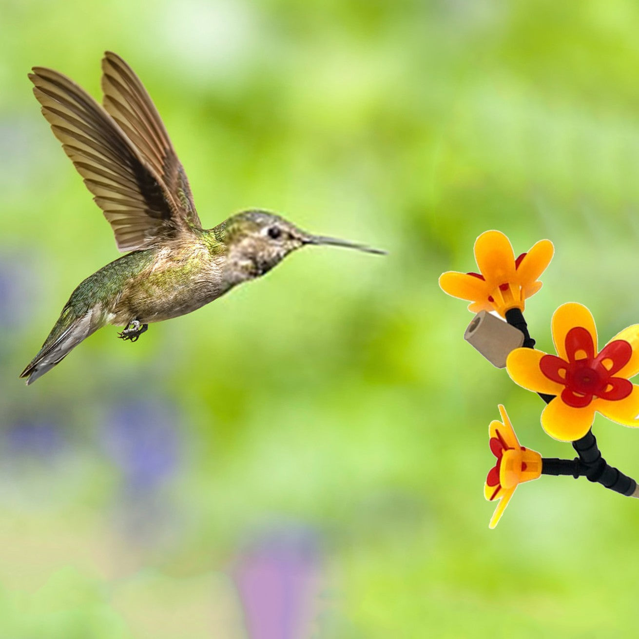 Turn Your Own Recycled Bottles Into The Special Hummingbird Feeder