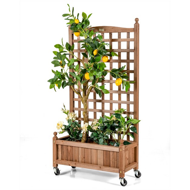 Tangkula 2pc 50in Wood Planter Box With Trellis And Wheels Mobile Plant Raised Bed For Indoorandoutdoor