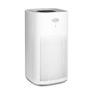 Clorox 320 sq.ft. Large Room Air Purifier 11010