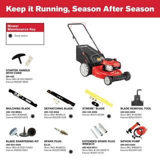 Troy-Bilt 21in. 140cc Briggs  Stratton Gas Push Lawn Mower with Rear bag and Mulching Kit Included TB110