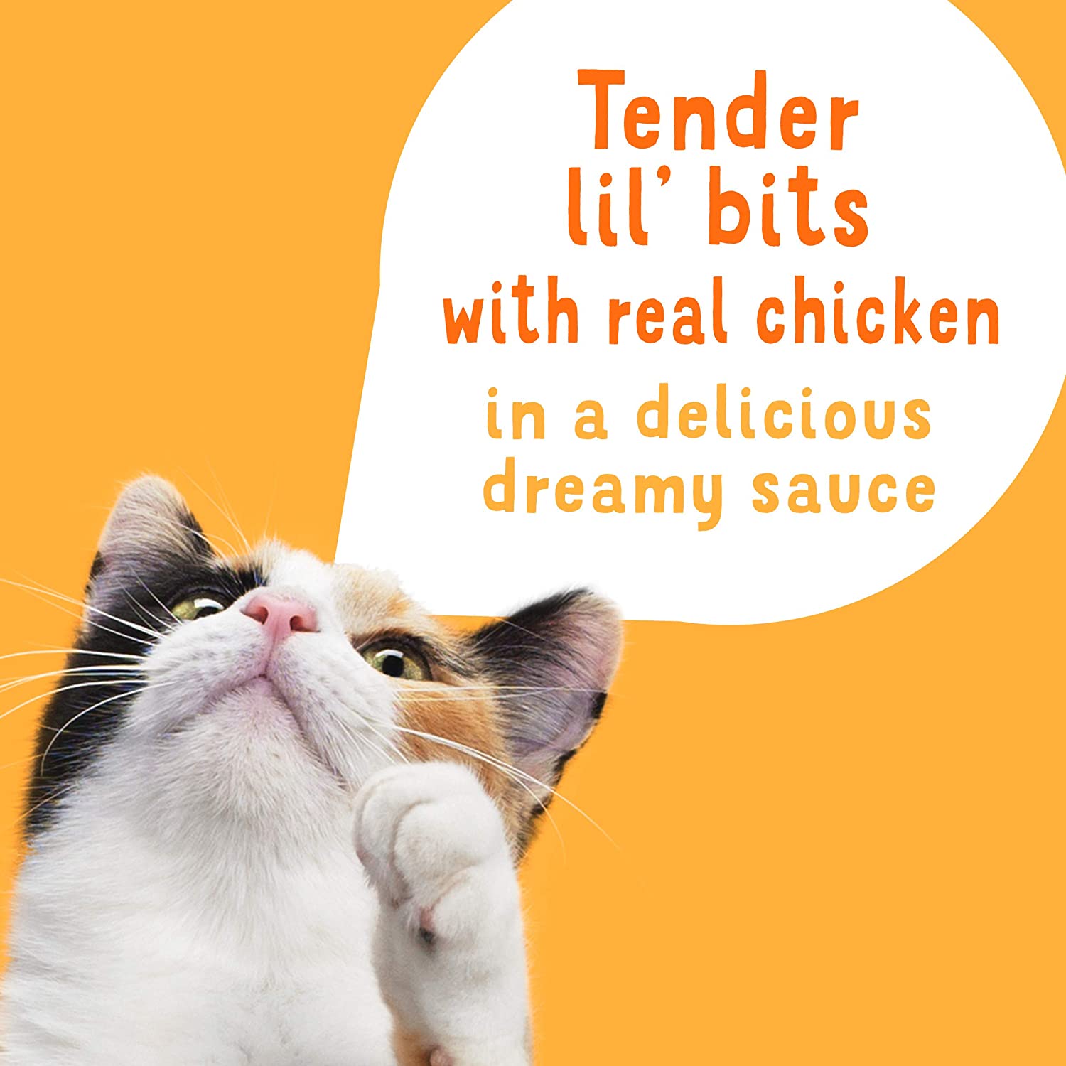 Purina Friskies Wet Cat Food Complement Lil’ Slurprises with Shredded Chicken in a Dreamy Sauce - (16) 1.2 oz. Pouches