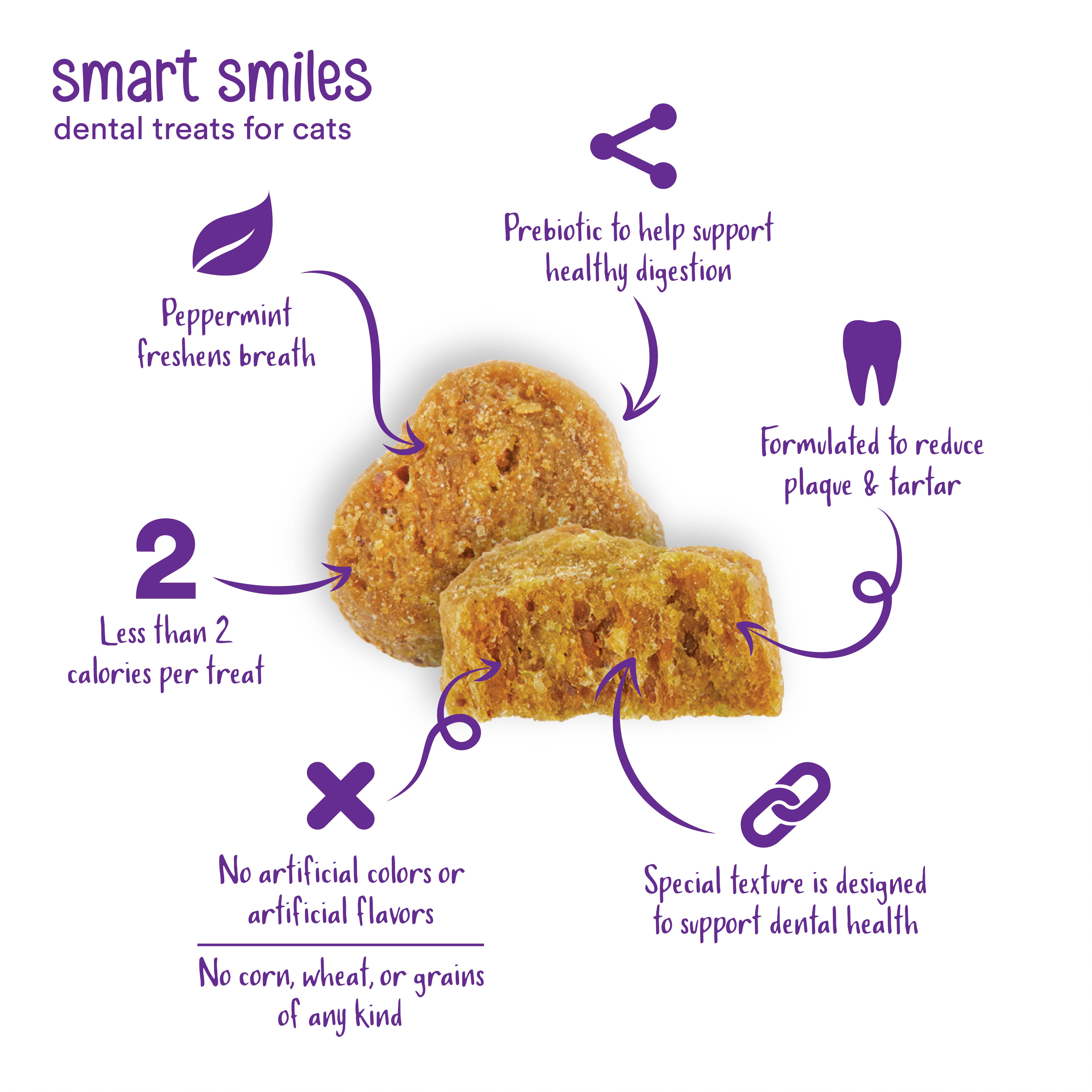 WholeHearted Smart Smiles Catnip Flavor Cat Dental Treats， 3 oz.