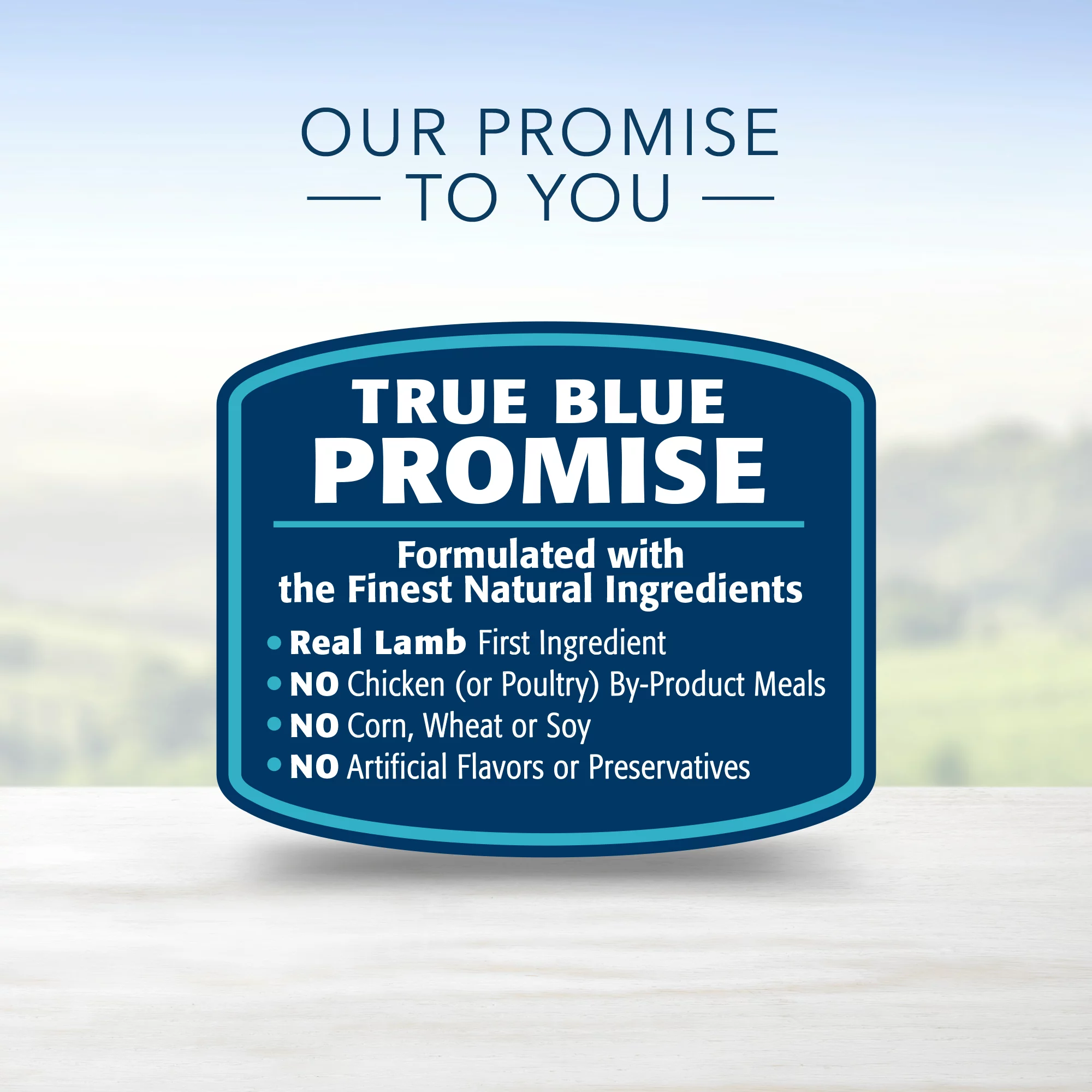 Blue Buffalo Life Protection Formula Lamb and Brown Rice Dry Dog Food for Adult Dogs Whole Grain 24 lb. Bag