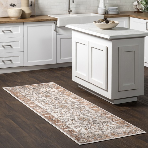 Leanne Traditional Faded Fringe Area Rug