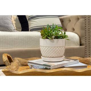 Vigoro 6 in. Delilah Small Glazed White Textured Ceramic Planter (6 in. D x 5 in. H) with Drainage Hole and Attached Saucer CR10732S-060W2