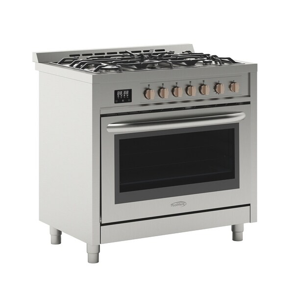 36 in. Stainless-Steel Professional Gas range with Legs