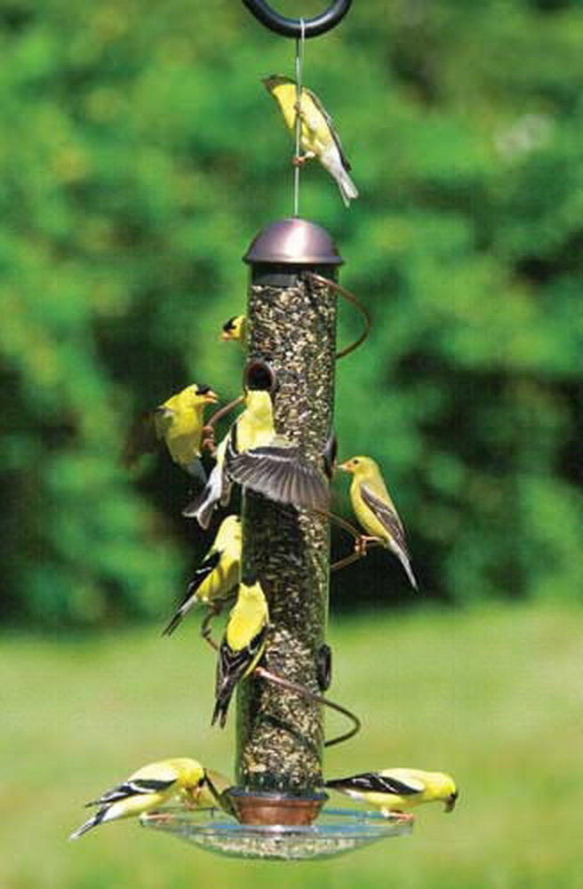 Songbird Essentials SEBQSBF3C 17in. Copper Spiral Sunflower Feeder