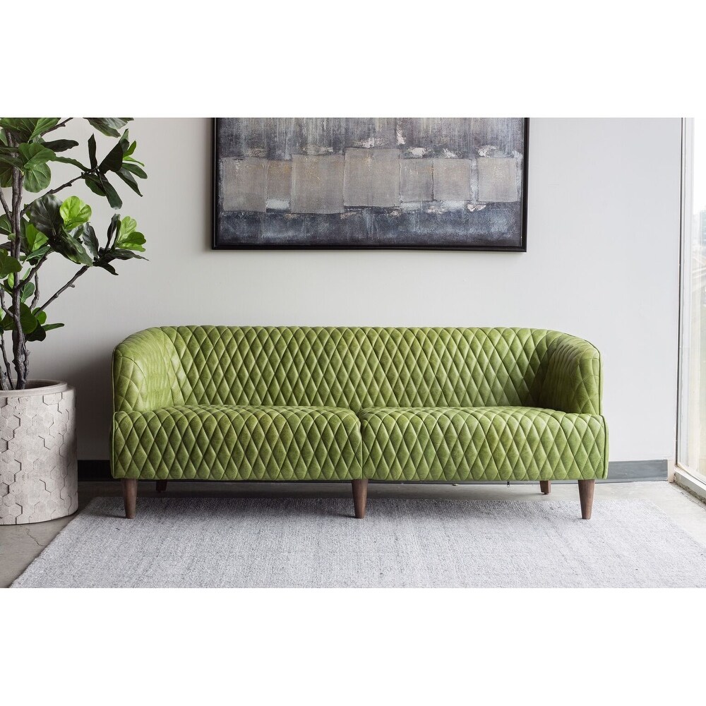 Aurelle Home Miggy Premium Leather Modern Sofa