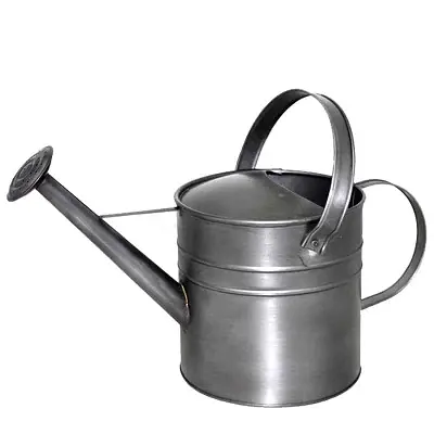 Wholesale Customized High Quality Stainless Steel Watering Can With Long Spout Water Cans For Outdoor Garden