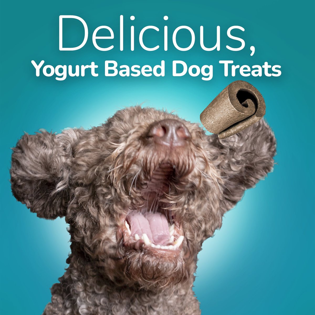 Fruitables Yogos Coconut Flavor Grain-Free Dog Treats， 12-oz pouch