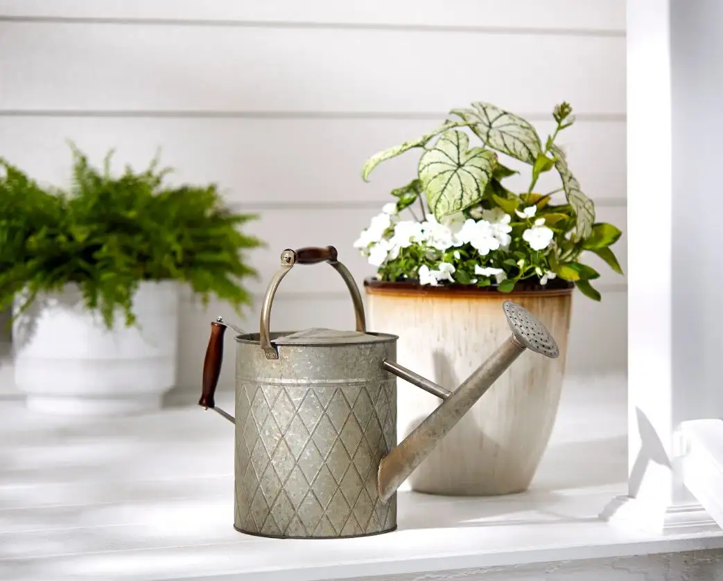 Newest Modern Galvanized Metal Watering can for outdoor and indoor plants flowers watering can Home Garden made in india 2023