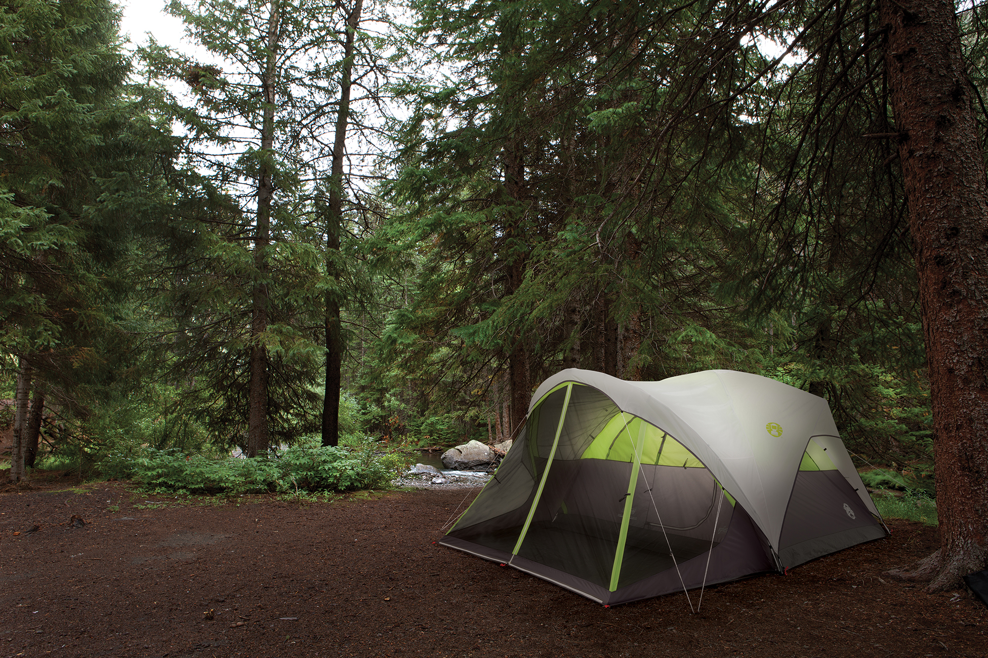 Coleman® 6-Person Steel Creek™ Fast Pitch™ Dome Camping Tent with Screen Room， Green