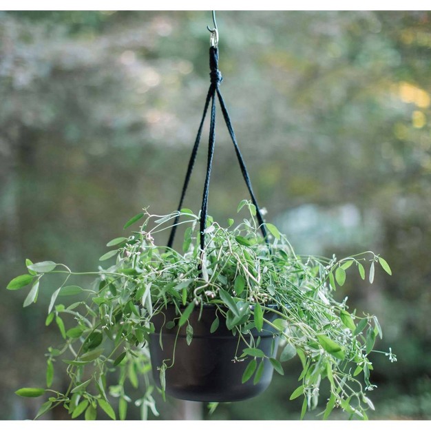 Wide Dura Cotta Hanging Basket