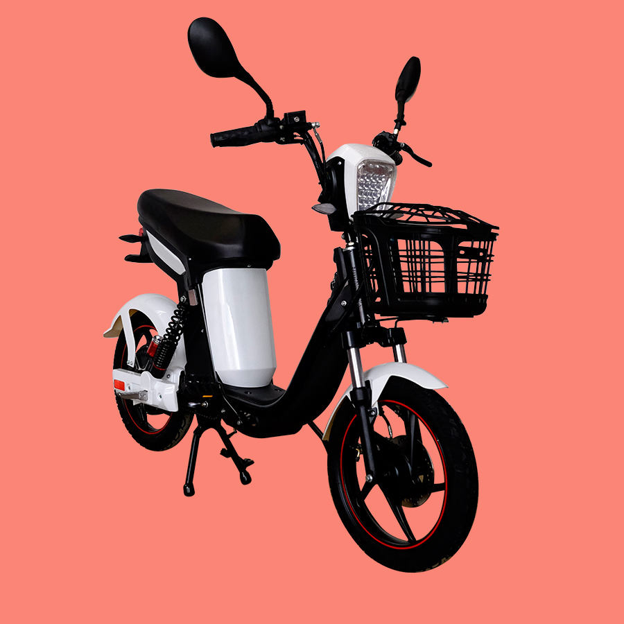 bike electric pakistani rupees price bikes max speed 25 kmh electric bike for viet nam