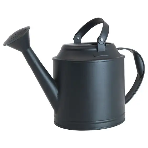 Premium GI Sheet Grey Powder Fineshed Garden tool Watering can long Water Can Safety Health Metal Watering Can wholesale price