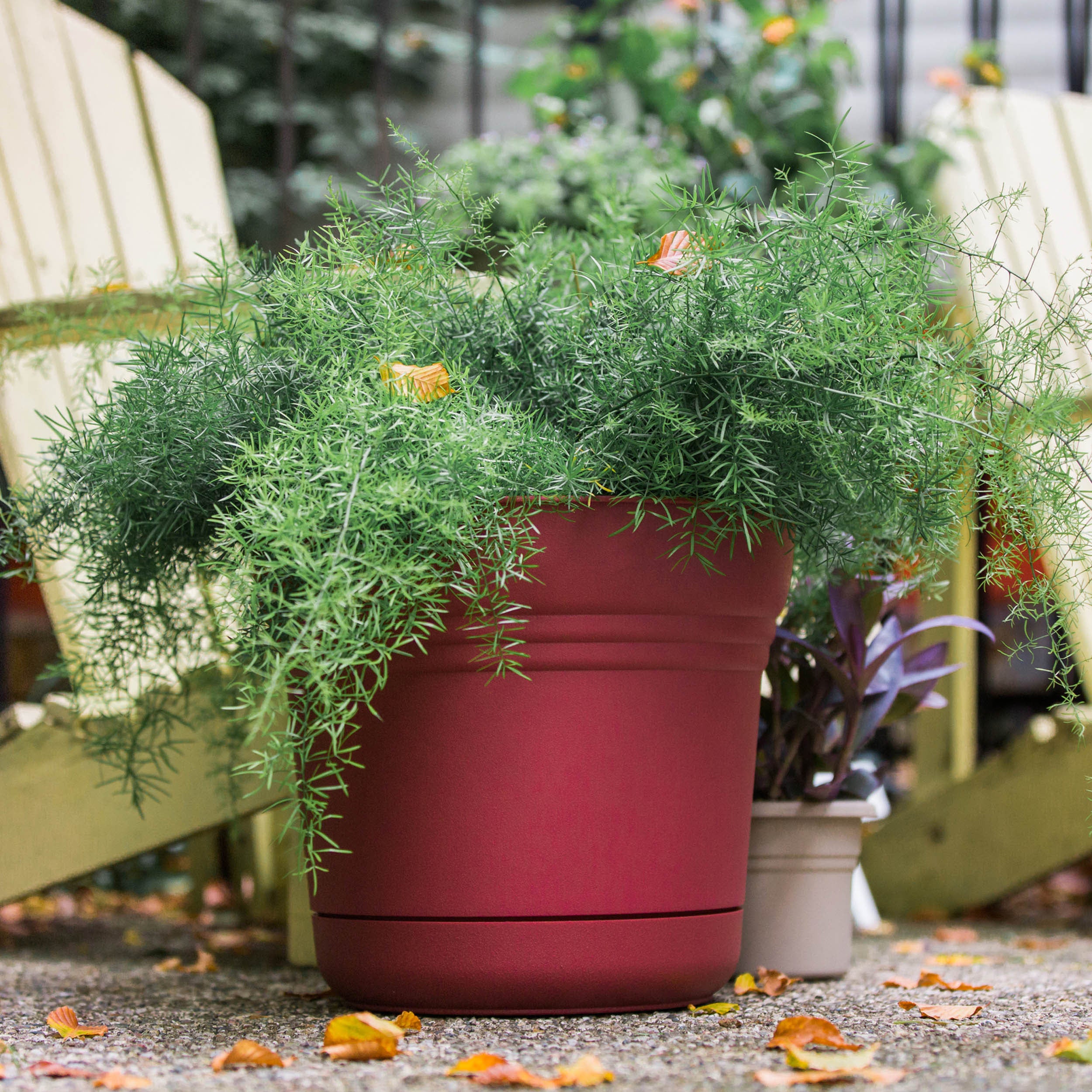 Bloem Saturn Planter W/ Saucer 7.5 x 7 Plastic Round Burnt Red