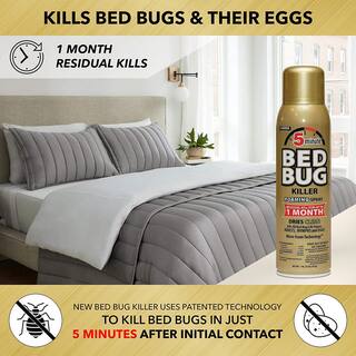 Harris 16 oz. 5-Minute Bed Bug Killer Foaming SprayKills All Life Stages (3-Pack) 3GOLDBB-16A