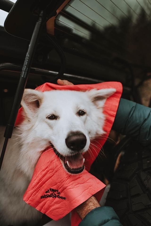 The Absorber XXL Pet Towel