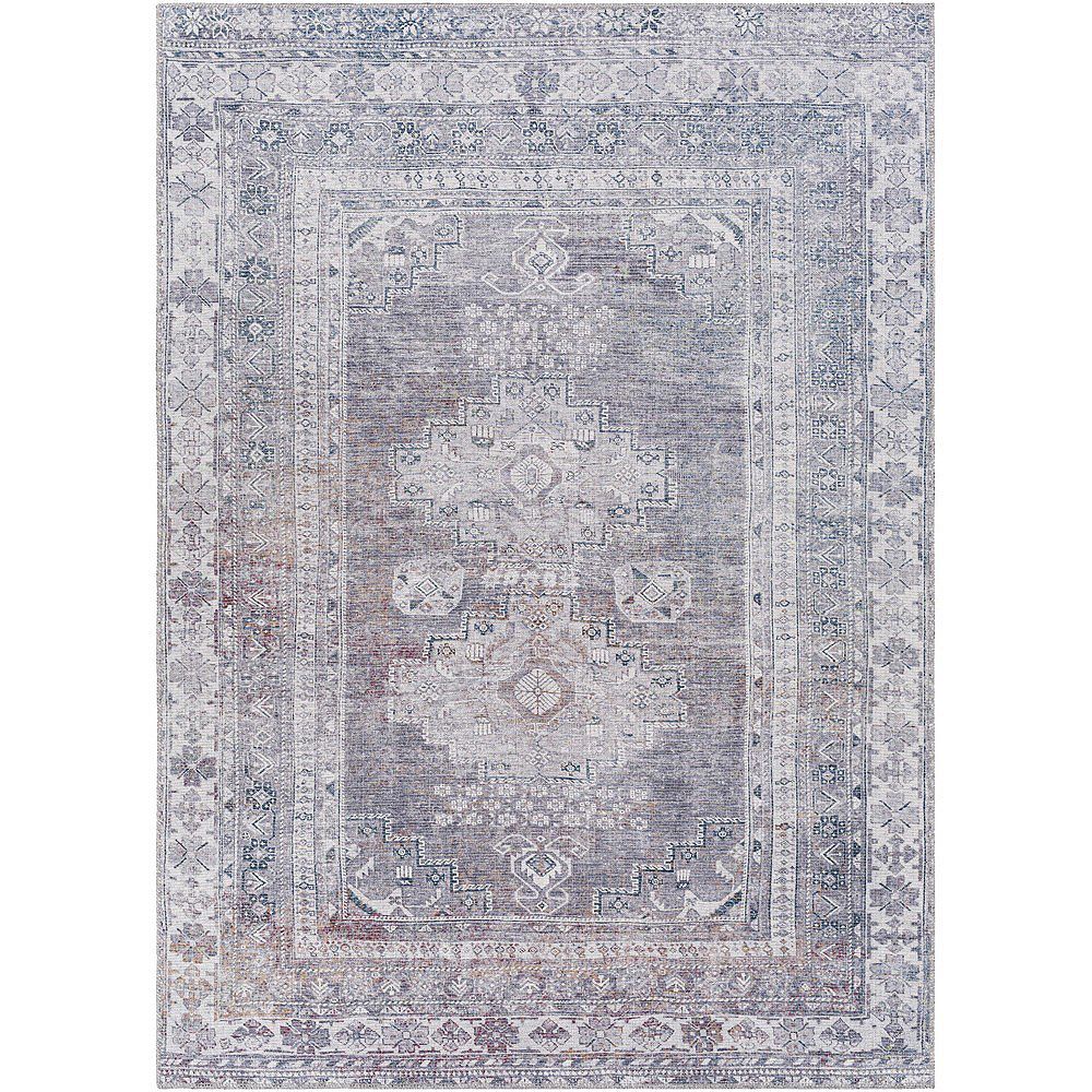 McCordsville Traditional Washable Area Rug