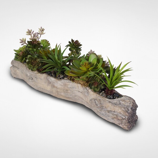 Artificial Succulents with Natural Rocks in a Stone Log