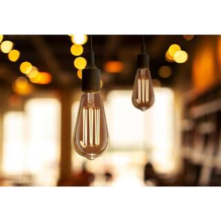 Feit Electric 60-Watt Equivalent ST19 Dimmable Straight Filament Amber Glass Vintage Edison LED Light Bulb Warm White ST1960VGLEDHDRP