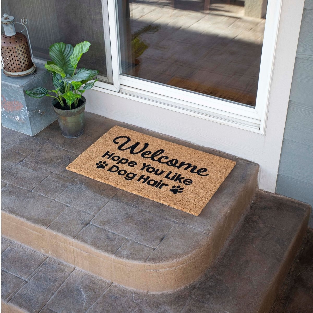 BirdRock Home Dog Hair' Coir Doormat