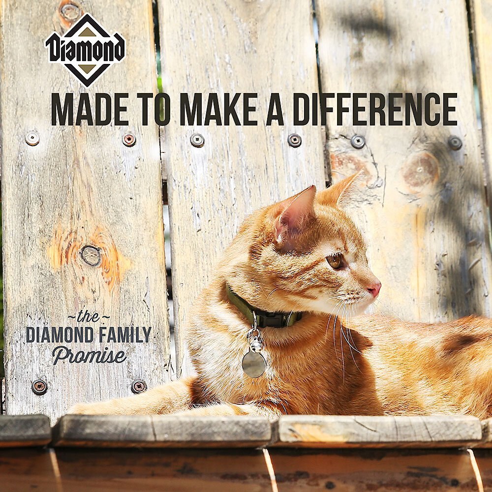 Diamond Maintenance Formula Adult Dry Cat Food