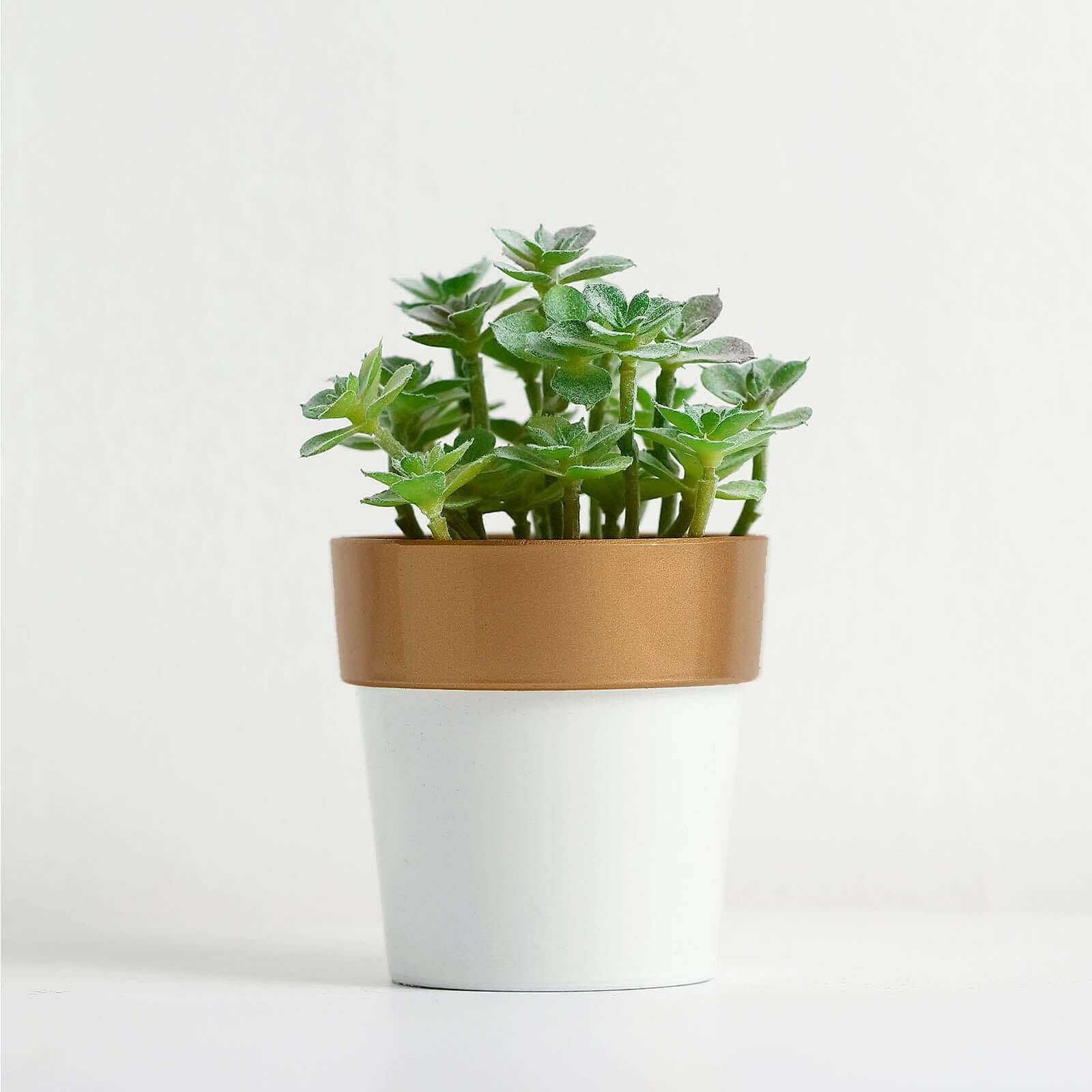 3 Pack White Gold Rimmed Small Flower Plant Pots, Indoor Decorative Planters 3