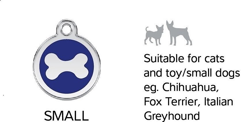 Red Dingo Kitten Personalized Stainless Steel Cat ID Tag， Small