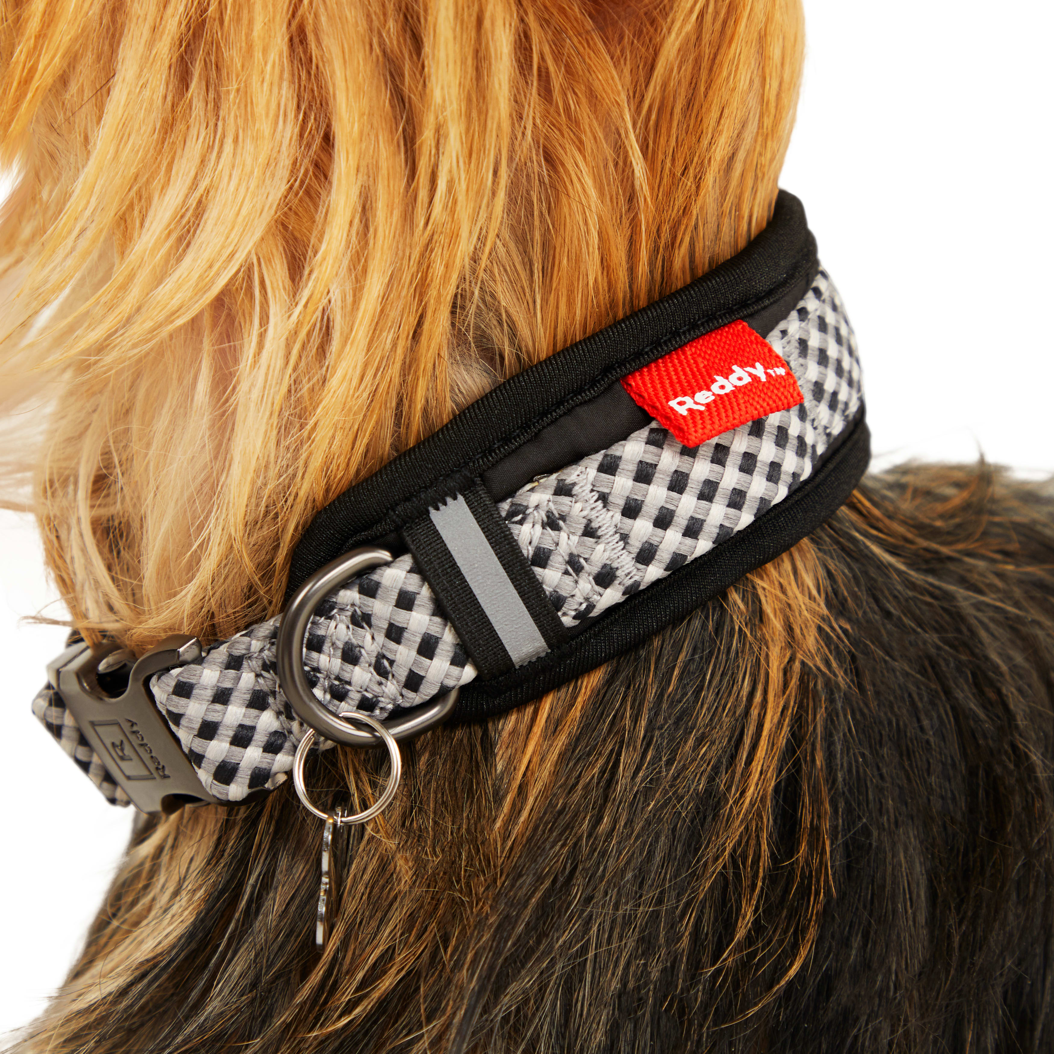 Reddy Grey Cozy Dog Collar， Small