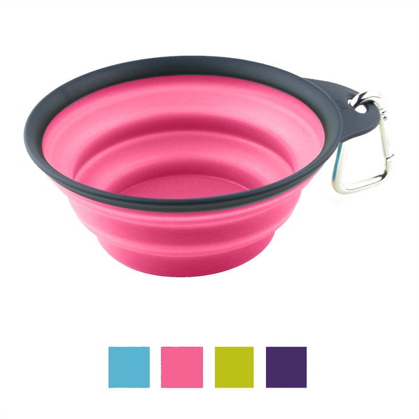 Dexas Popware for Pets Collapsible Travel Non-Skid Silicone Dog and Cat Bowl with Carabiner