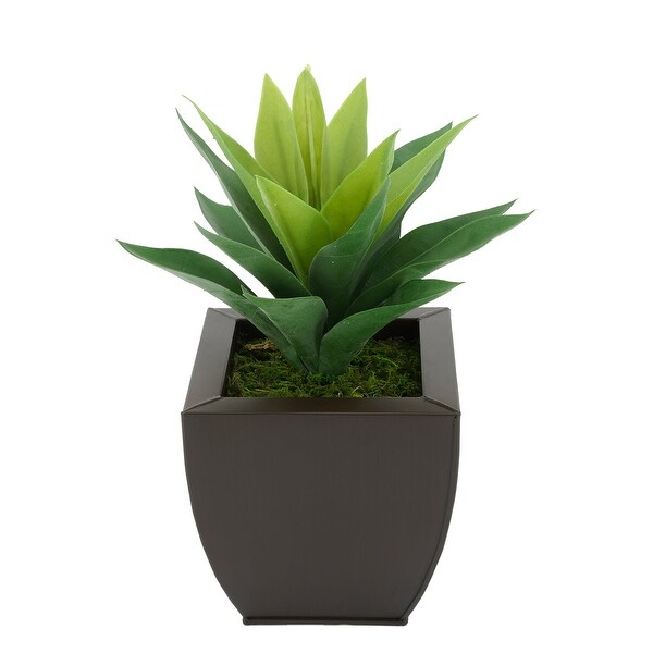 Faux Frosted Light Green Succulent in Tapered Zinc Planter